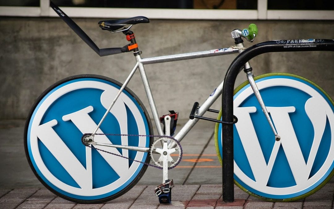 Five Ways A WordPress Developer Can Help Build Custom WordPress Website